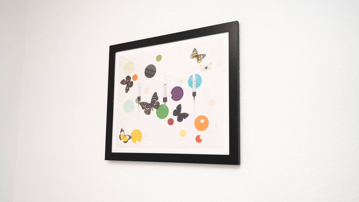 Colorful butterfly artwork with abstract circles.